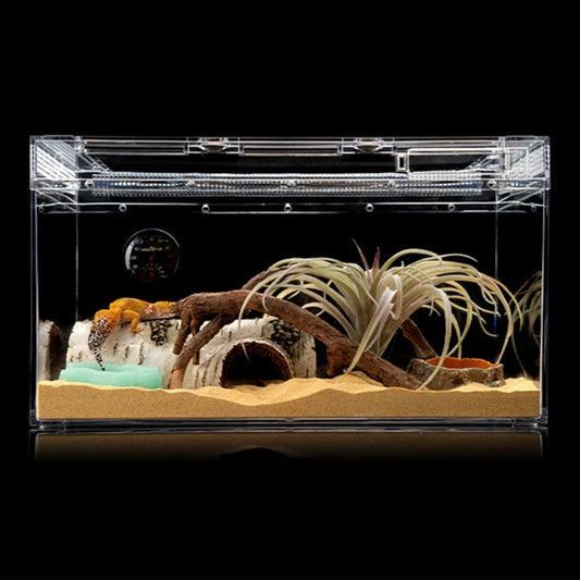 Pet Bowl Simulation Rock Escape Proof Bowl Reptiles Simulation Rock Bowl