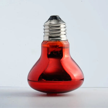 Pet Heating Lamp UVA Day Night Amphibian Amphibian Snake Lamp Heat Reptile Bulb Light Heat Reptile Bulb 25/50/75/100W 220-240V