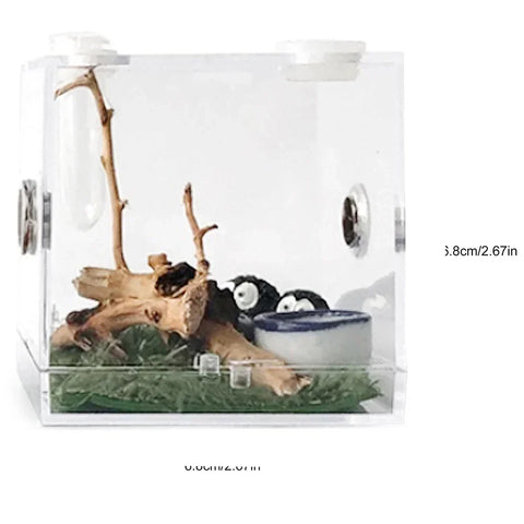 Small Reptile Feeding Box Transparent Acrylic Jumping Spider Breeding Box Habitat Small Insect Container Humidifier Feeding Port