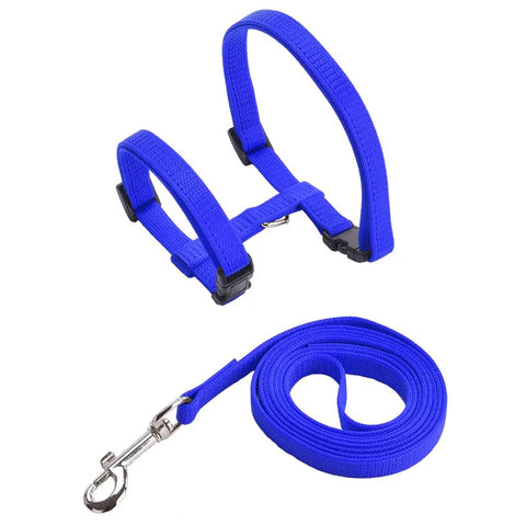 Cheap Sphynx Cat Harness and Leash Set Convenient Pet Harnesses for Cats Gotas Katten mascotas Accessories Outdoor Kedi Cat Lead